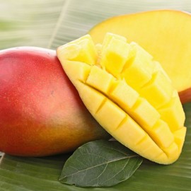 Masážny olej Mango PROFI 5L